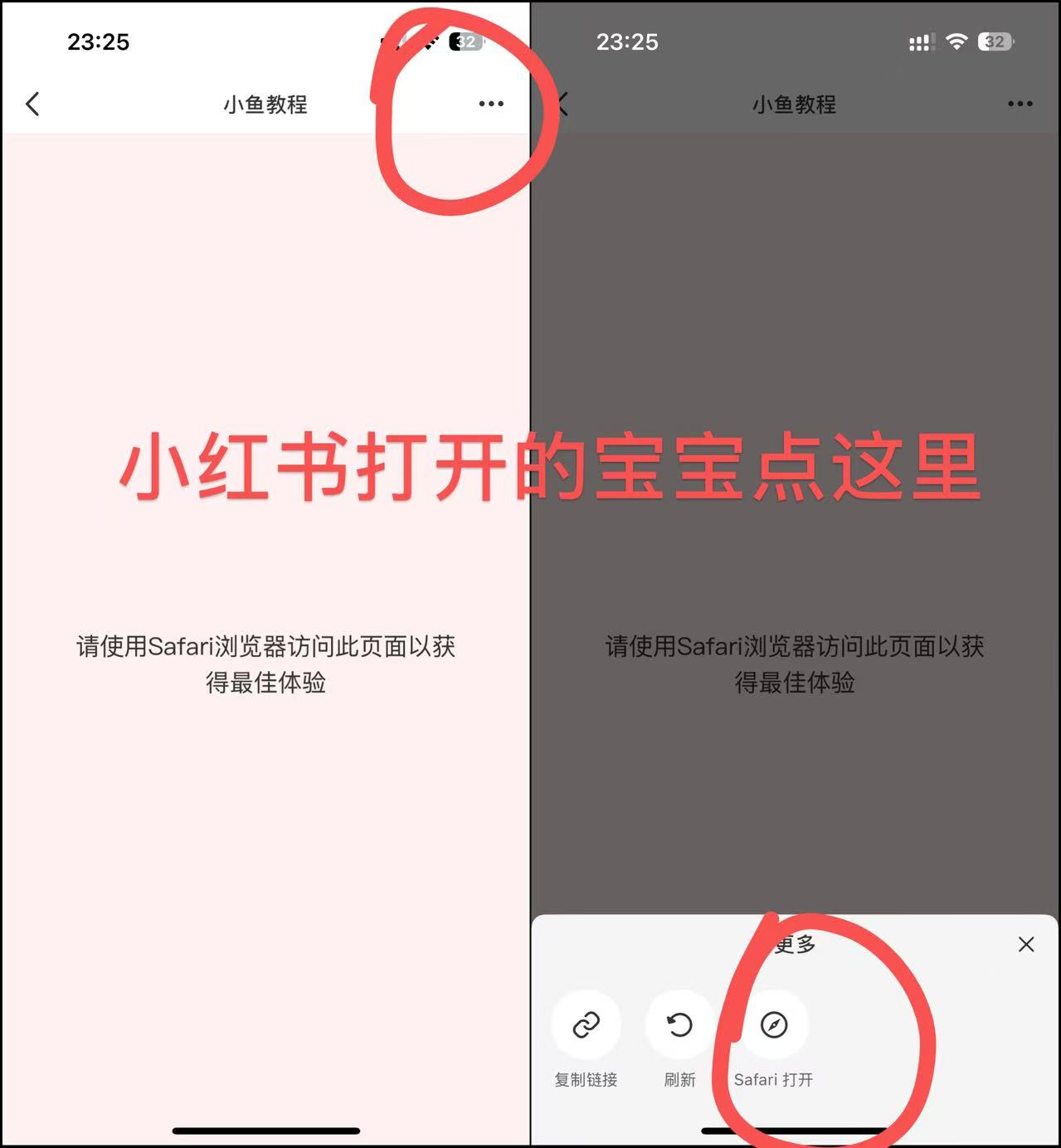 请使用Safari浏览器